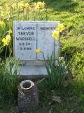 image of grave number 301649